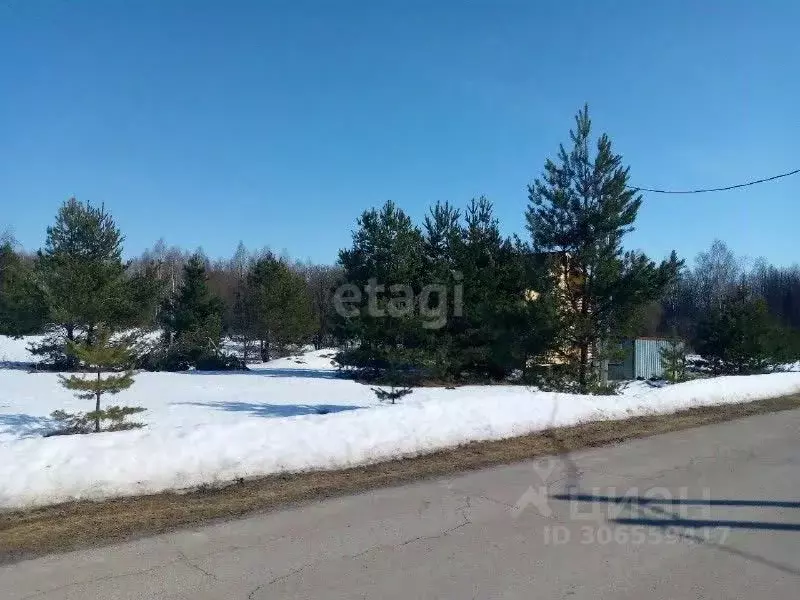 Участок в Нижегородская область, Дальнеконстантиновский муниципальный ... - Фото 1