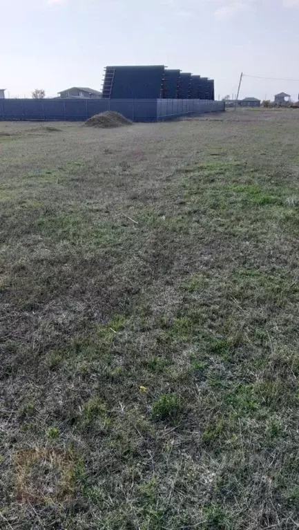 Участок в Крым, Черноморский район, Окуневское с/пос, с. Знаменское ... - Фото 2