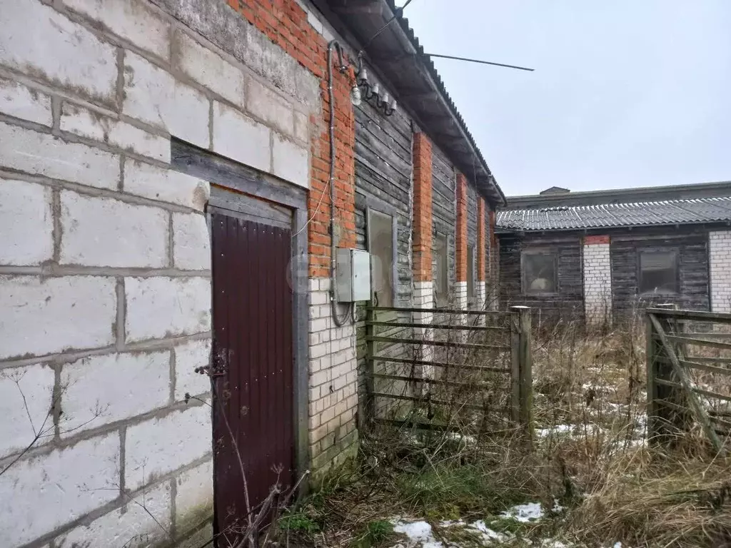 Склад в Вологодская область, Белозерский муниципальный округ, д. ... - Фото 1