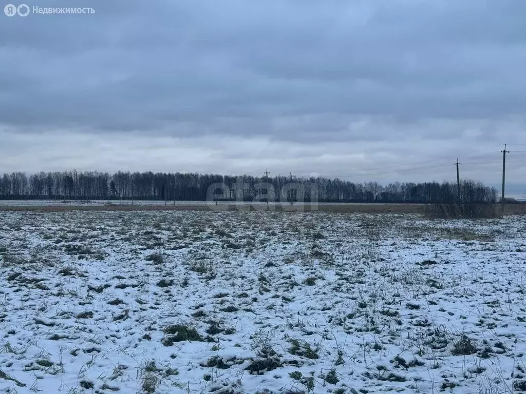 Участок в посёлок городского типа Красное-на-Волге, посёлок ... - Фото 0