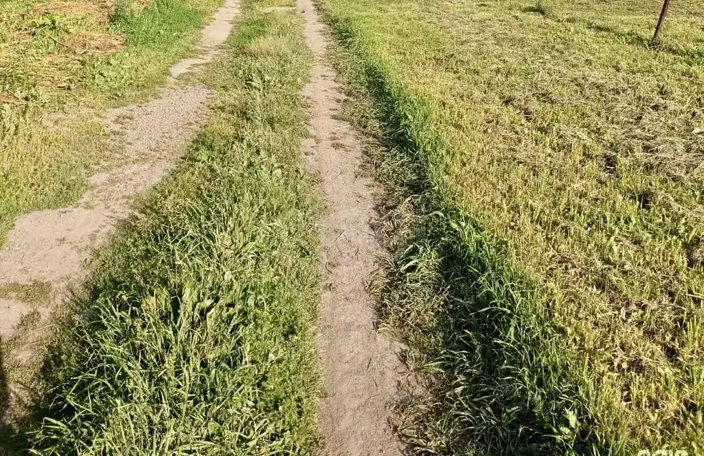 Участок в Новосибирская область, Мошковский район, с. Барлак Школьная ... - Фото 1