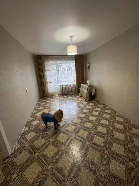 1-к кв. Пермский край, Пермь Вижайская ул., 10 (36.0 м) - Фото 2