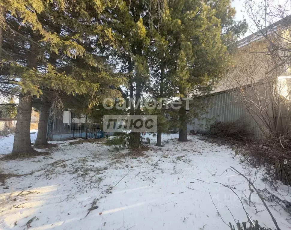 Дом в Иркутская область, Иркутский муниципальный округ, Колос СНТ 101 ... - Фото 1