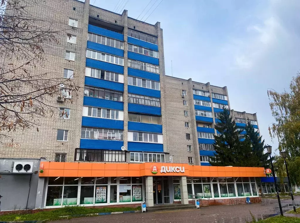 1-к кв. Московская область, Чехов ул. Чехова, 5 (29.9 м) - Фото 1