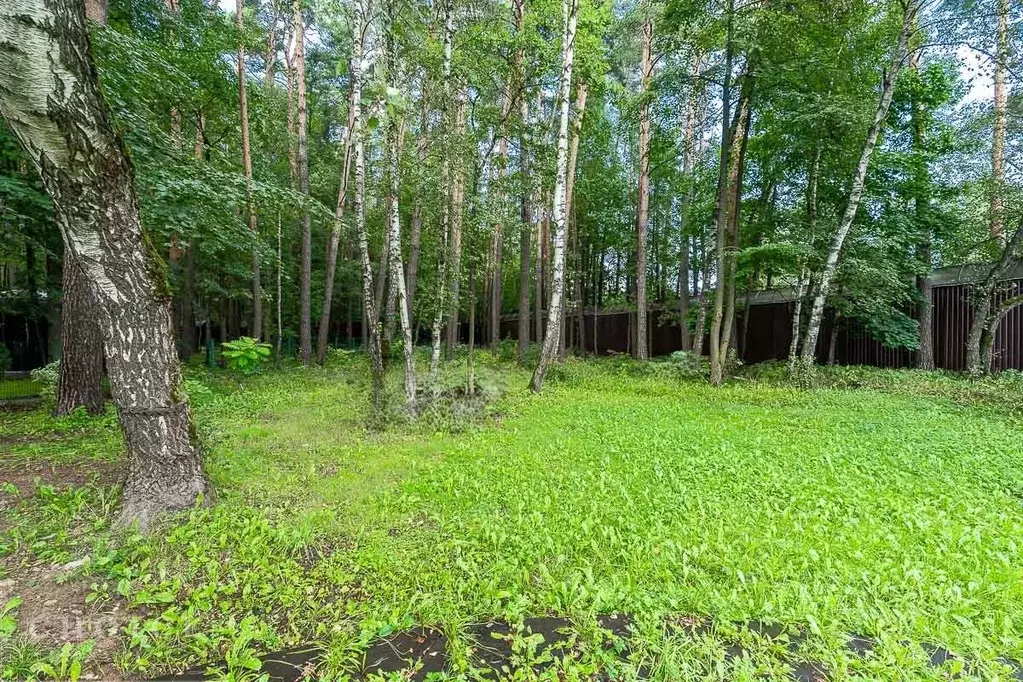 Дом в Московская область, Одинцовский городской округ, д. Новодарьино, ... - Фото 2
