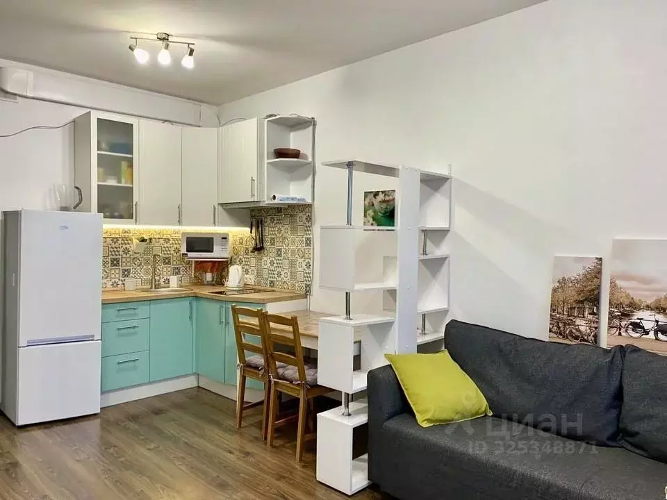 Студия Санкт-Петербург Кондратьевский просп., 68к4 (24.8 м) - Фото 1