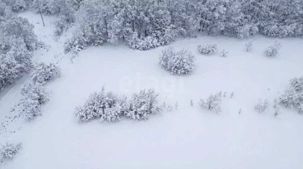 Участок в Камчатский край, Елизовский муниципальный округ, Рыбак СНТ  ... - Фото 2