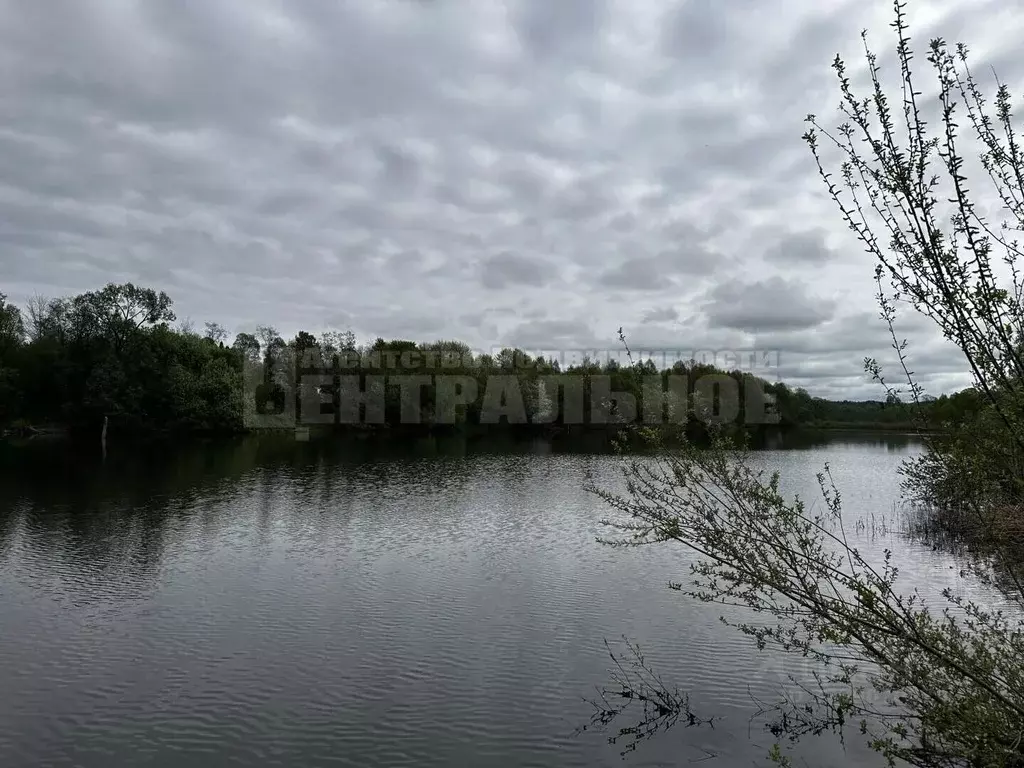 Участок в Смоленская область, Смоленск Озерный СНТ, 220 (6.6 сот.) - Фото 1