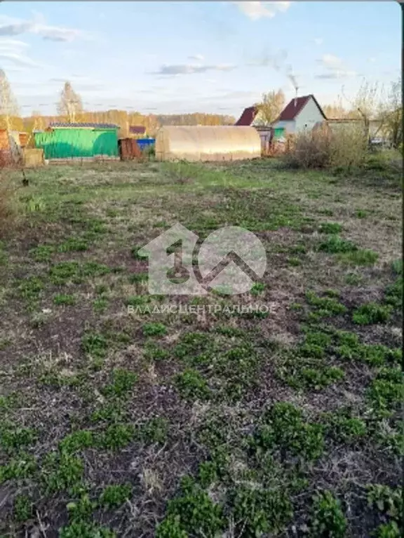 Участок в Новосибирская область, Бердск Ива СНТ, ул. 11-я (6.0 сот.) - Фото 1