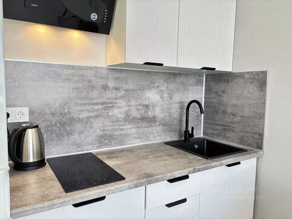 Студия Новосибирская область, Новосибирск ул. Кирова, 242 (26.0 м) - Фото 2