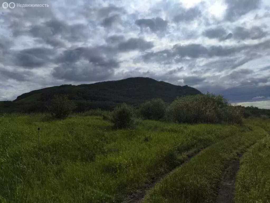 Участок в Ставропольский край, Предгорный муниципальный округ, хутор ... - Фото 1
