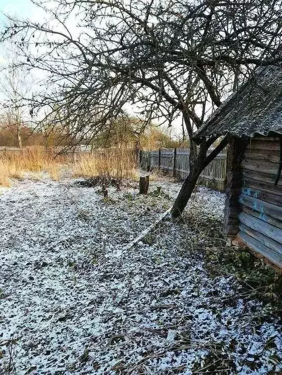 Дом в посёлок городского типа Пролетарий, Октябрьский переулок (53 м) - Фото 1