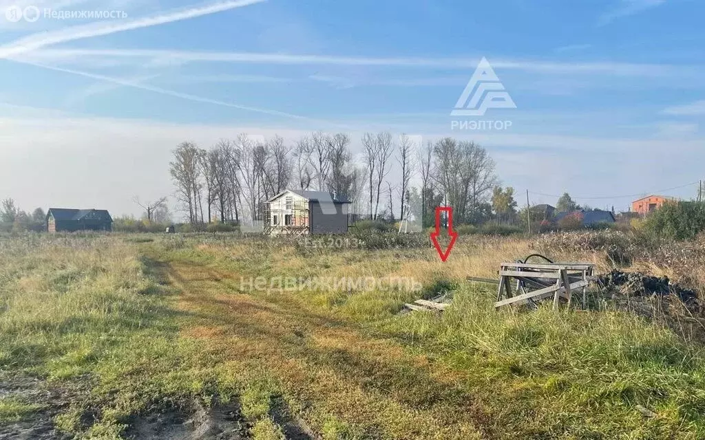 Участок в Сосновский район, Алишевское сельское поселение, село ... - Фото 0