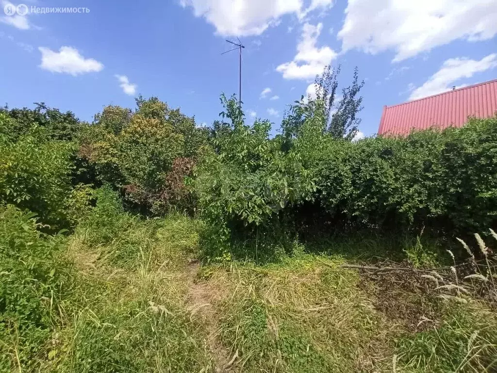 Участок в посёлок Новый, садовое товарищество Дружба, Вишнёвая улица ... - Фото 2