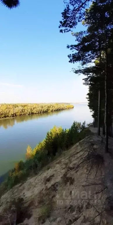 Участок в Новосибирская область, Мошковский район, с. Белоярка ... - Фото 2