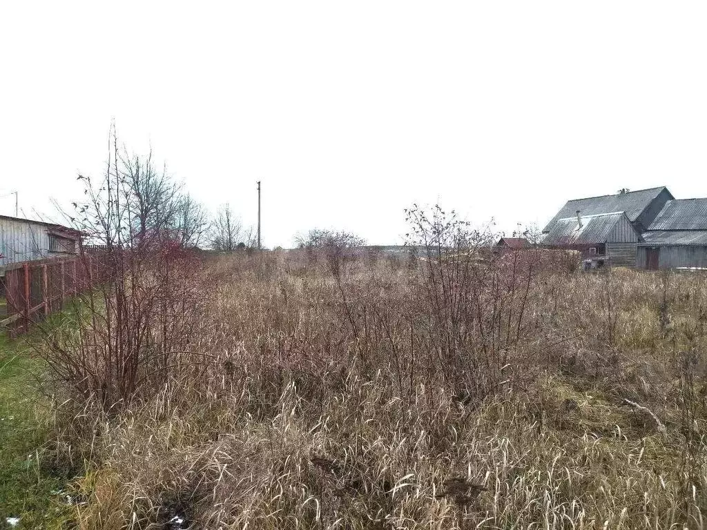 Участок в Вологодская область, Великоустюгский муниципальный округ, ... - Фото 1