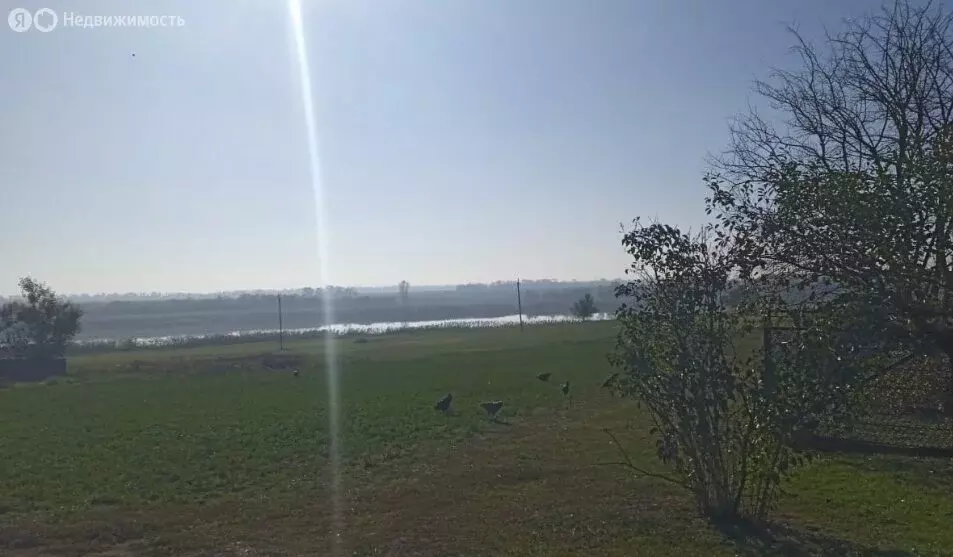 Участок в станица Новощербиновская, улица Димитрова, 13 (17 м) - Фото 1