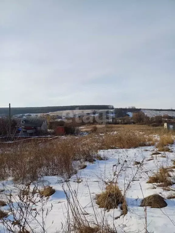 Участок в Белгородская область, Белгородский район, Беловское с/пос, ... - Фото 0