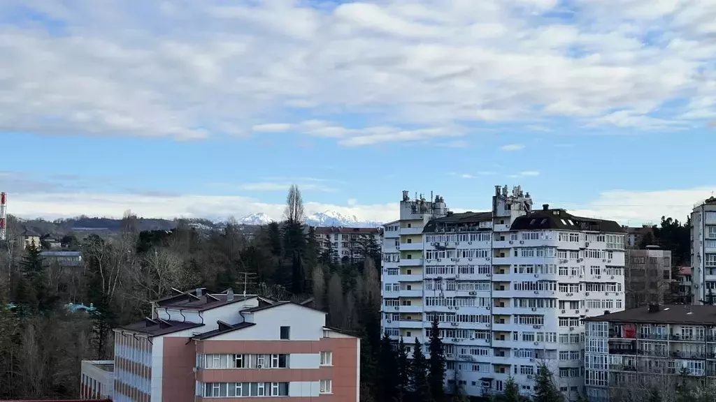 1-к кв. Краснодарский край, Сочи Завокзальный мкр, пер. Трунова, 6к8 ... - Фото 2