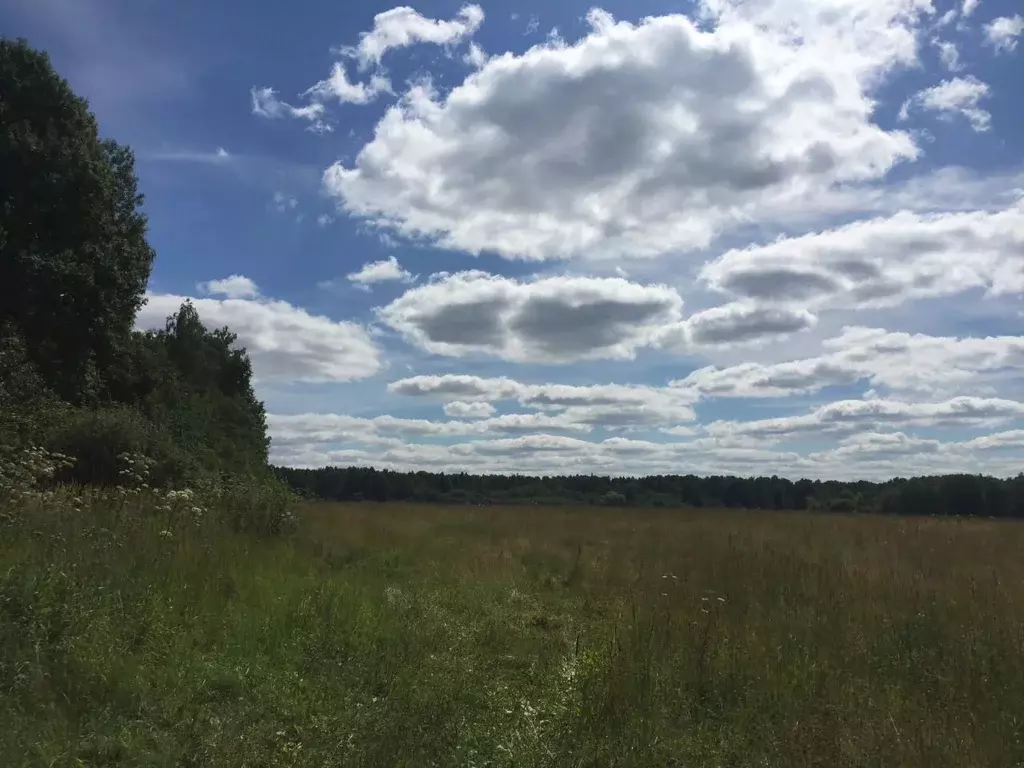 Участок в Смоленская область, Гагаринский муниципальный округ, д. ... - Фото 1