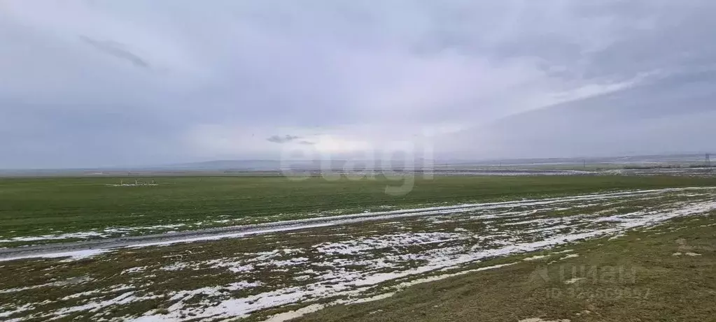 Участок в Крым, Кировский район, с. Владиславовка ул. Виноградная ... - Фото 1