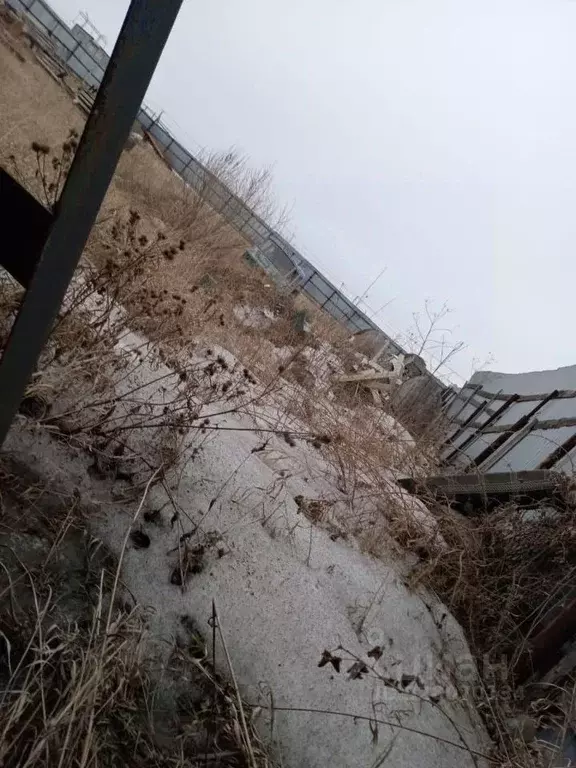 Участок в Красноярский край, Красноярск ул. Острожная (2403.0 сот.) - Фото 2