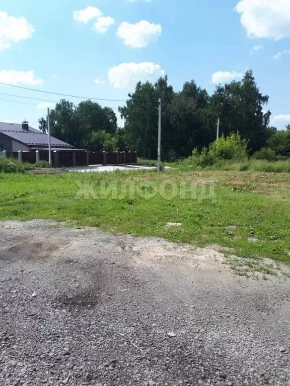Участок в Новосибирская область, Новосибирский район, Станционный ... - Фото 0