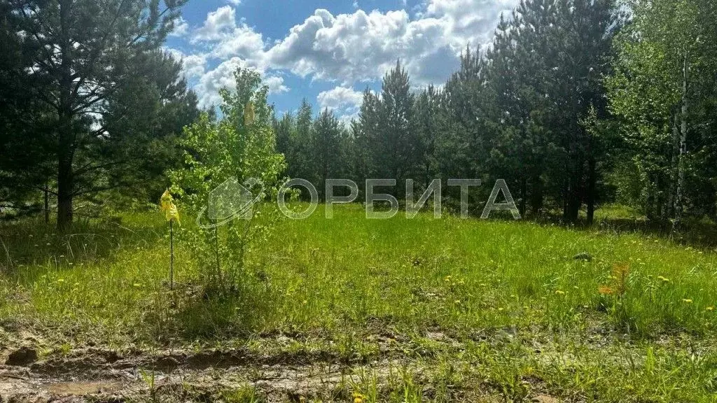 Участок в Тюменская область, Тюменский район, Новокаменский кп ул. ... - Фото 0