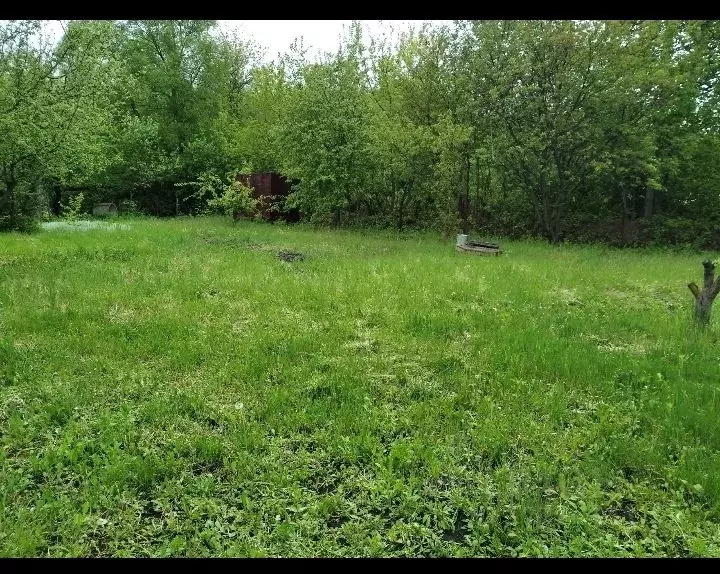 Участок в Курская область, Курский район, д. Щетинка  (5.0 сот.) - Фото 1