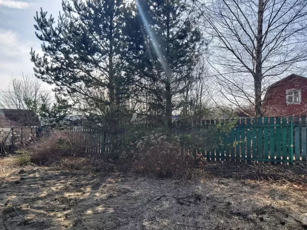 Участок в Московская область, Солнечногорск городской округ, Лотос ... - Фото 2