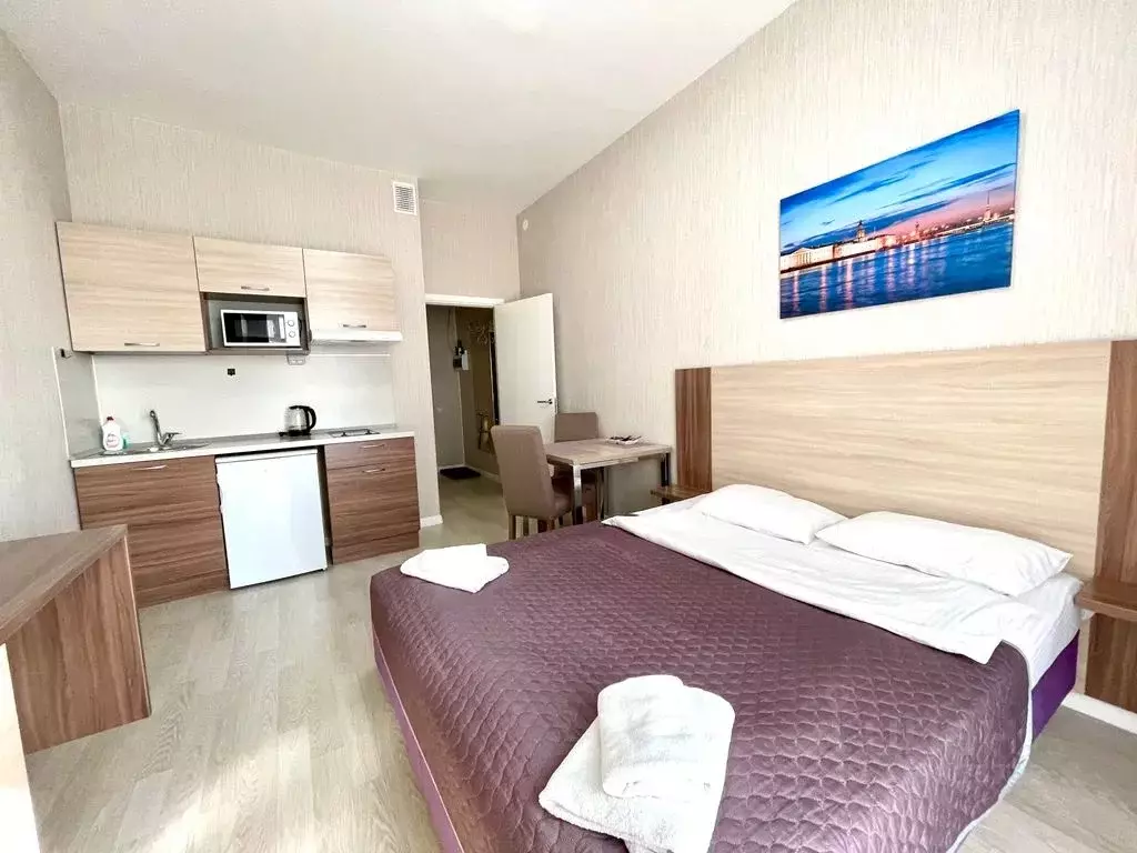 Студия Санкт-Петербург Пулковское ш., 14с6 (26.0 м) - Фото 2