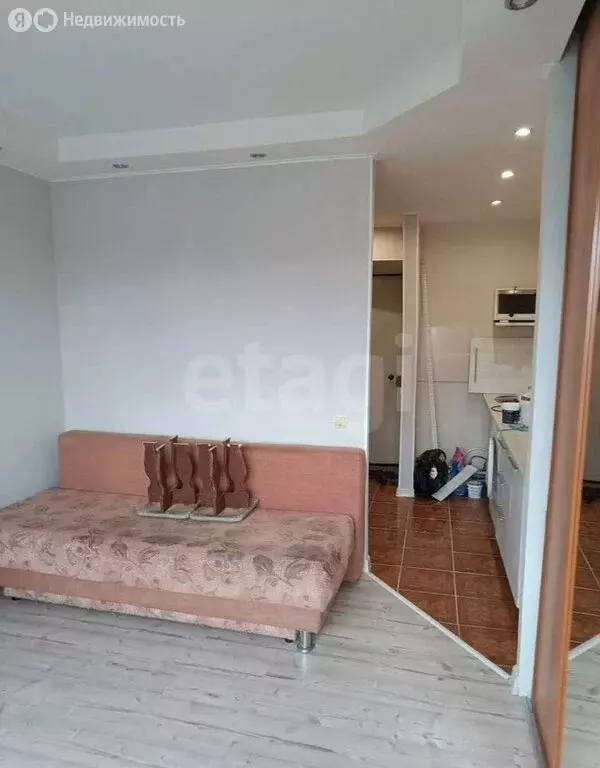 Квартира-студия: Пермь, улица Богдана Хмельницкого, 58 (18 м) - Фото 1