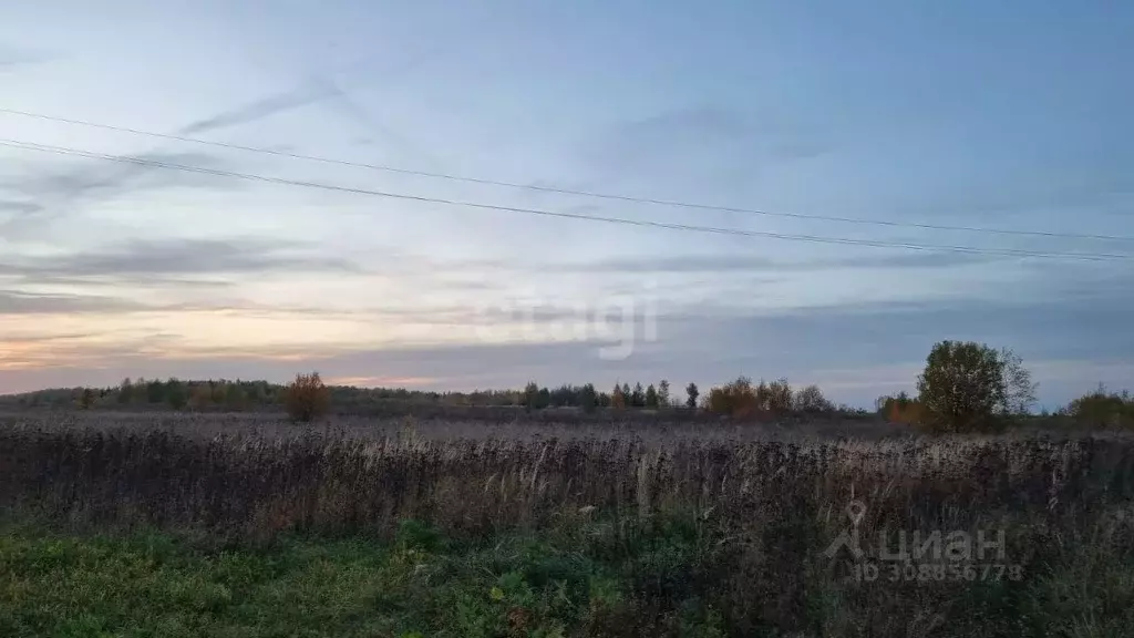 Участок в Марий Эл, Медведевский район, Нурминское с/пос, с. Нурма ул. ... - Фото 1