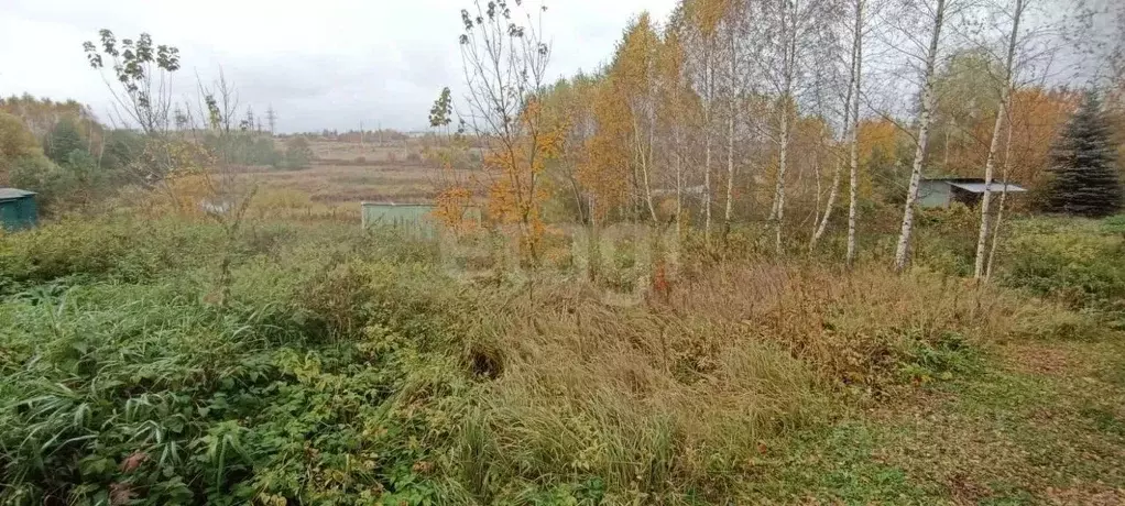 Участок в Калужская область, Боровский муниципальный округ, Ворсино ... - Фото 1