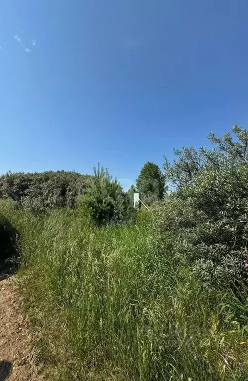 Участок в Иркутская область, Усть-Илимский муниципальный округ, Родник ... - Фото 1