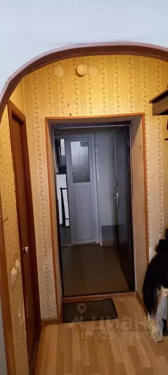 Студия Хакасия, Абакан просп. Дружбы Народов, 41А (20.0 м) - Фото 2