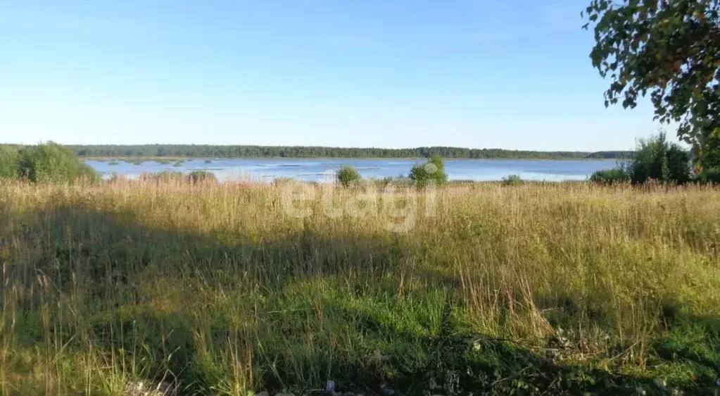 Участок в Вологодская область, Череповецкий район, д. Даргун  (16.0 ... - Фото 1