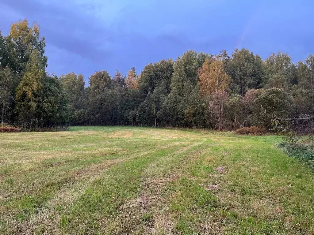 Участок в Ленинградская область, Приозерский район, Мельниковское ... - Фото 0