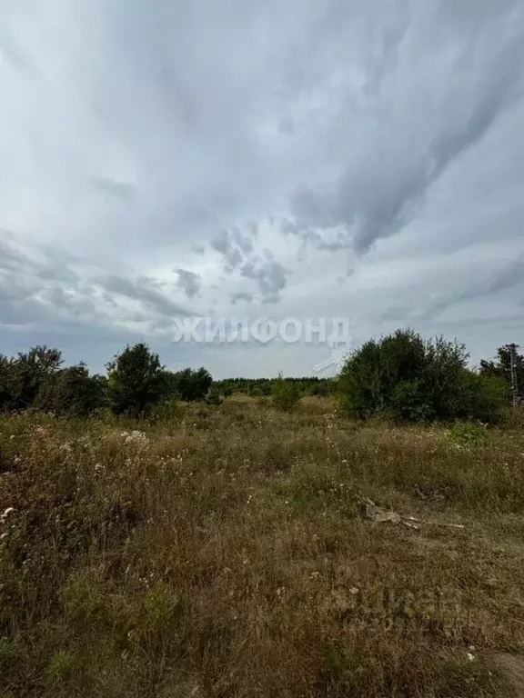 Участок в Воронежская область, Семилукский район, с. Губарево  (15.0 ... - Фото 1