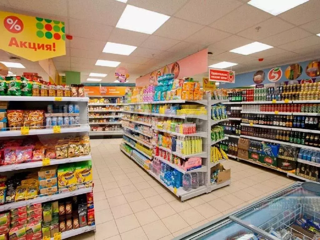 Продажа готового арендного бизнеса с арендатором Пятерочка - Фото 1