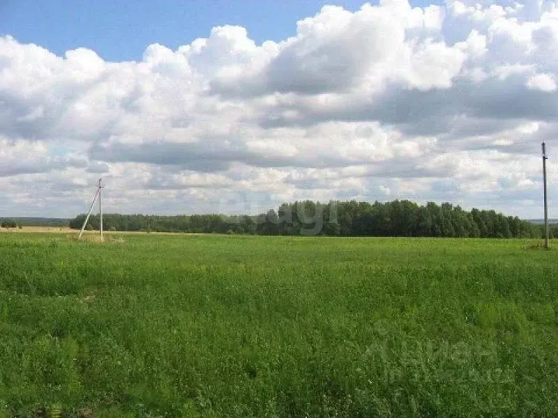 Участок в Архангельская область, Котласский муниципальный округ, ... - Фото 1