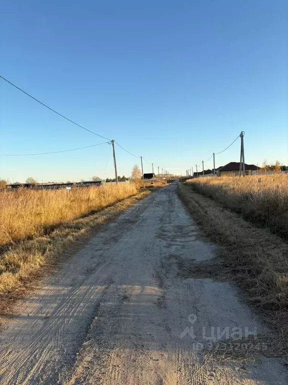 Участок в Тюменская область, Тюменский муниципальный округ, с. Борки ... - Фото 2