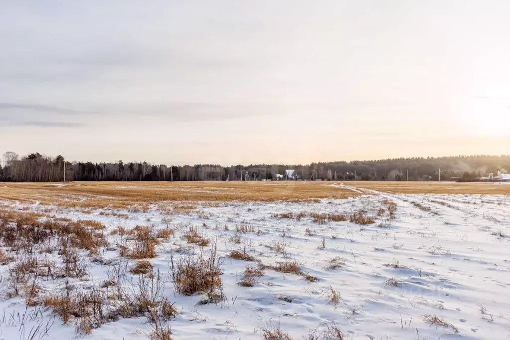 Участок в Свердловская область, Тугулымский муниципальный округ, с. ... - Фото 1