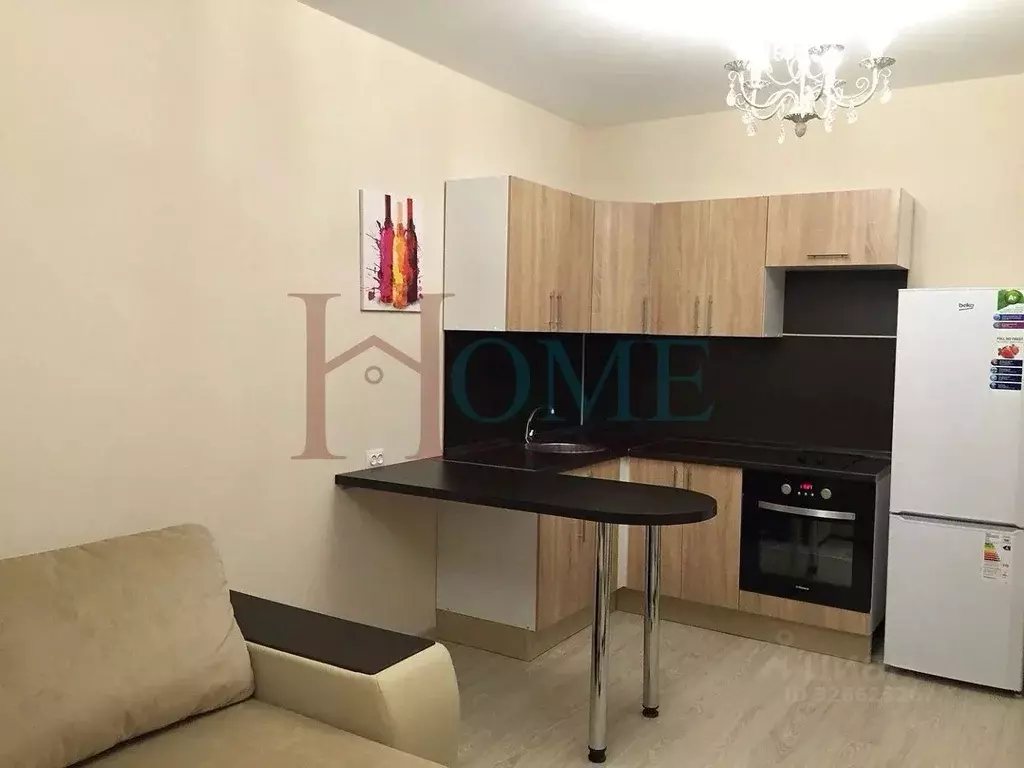 Студия Новосибирская область, Новосибирск ул. Фадеева, 66/4 (28.0 м) - Фото 2