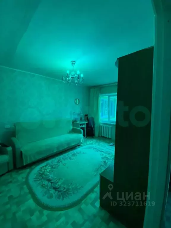 1-к кв. Томская область, Томск Алтайская ул., 93 (28.7 м) - Фото 1