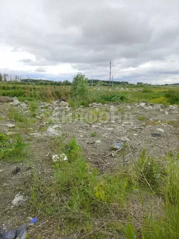 Участок в Новосибирская область, Новосибирский район, Криводановский ... - Фото 1