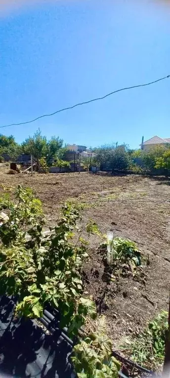 Участок в Крым, Симферопольский район, Молодежное пгт, Аграрник СНТ ... - Фото 2