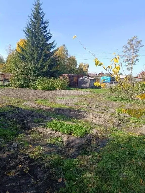 Участок в Иркутская область, Иркутский муниципальный округ, Черемушки ... - Фото 1