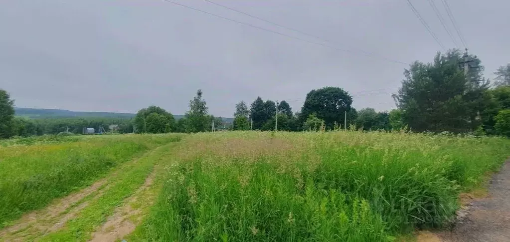 Участок в Московская область, Солнечногорск городской округ, д. ... - Фото 0