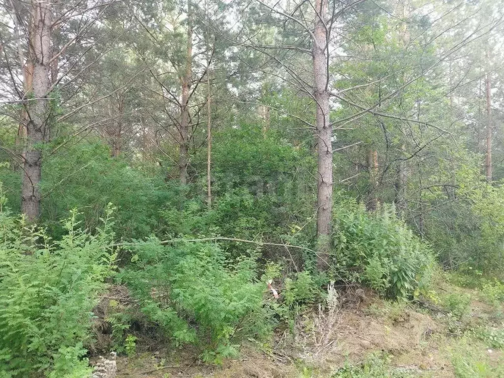 Участок в Свердловская область, Талица пл. Молодежная (12.0 сот.) - Фото 1